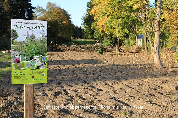 Umweltlotterie: Nachbarschaftsinitiative Bee Sossenheim für ein bienenfreundliches Sossenheim