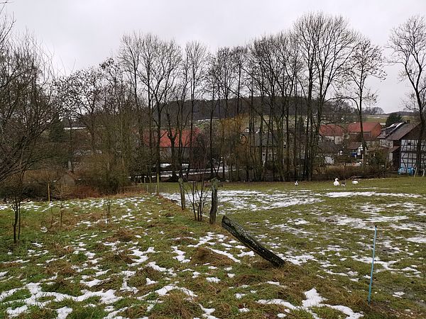 Umweltlotterie: Nachpflanzen einer Streuobstwiese mit Hochstämmen alter hessischer Kernobstsorten