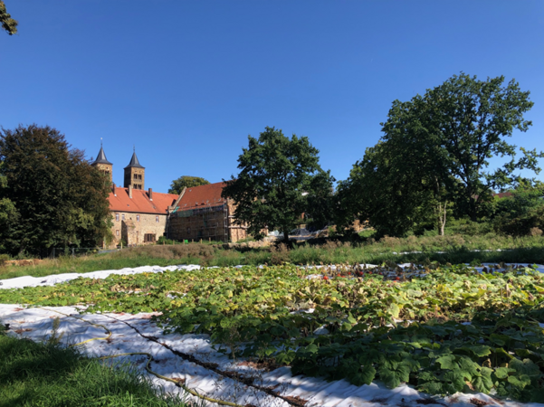 Umweltlotterie: Zukunft pflanzen im Klostergarten Ilbenstadt