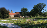 Umweltlotterie: Zukunft pflanzen im Klostergarten Ilbenstadt