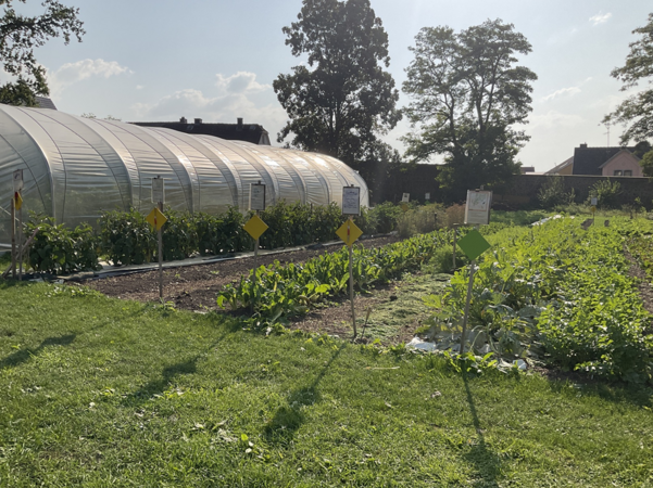 Umweltlotterie: Zukunft pflanzen im Klostergarten Ilbenstadt