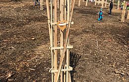 Umweltlotterie: Werde ein Baumretter!