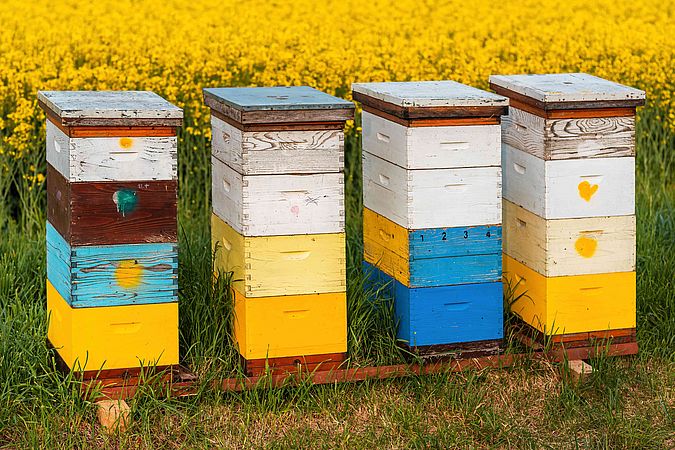 Umweltlotterie: Blaulichtbienen THW-Jugend-Schwalmstadt