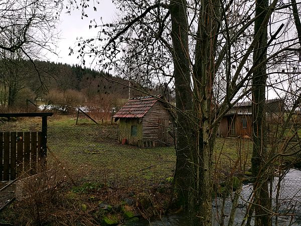 Umweltlotterie: Nachpflanzen einer Streuobstwiese mit Hochstämmen alter hessischer Kernobstsorten