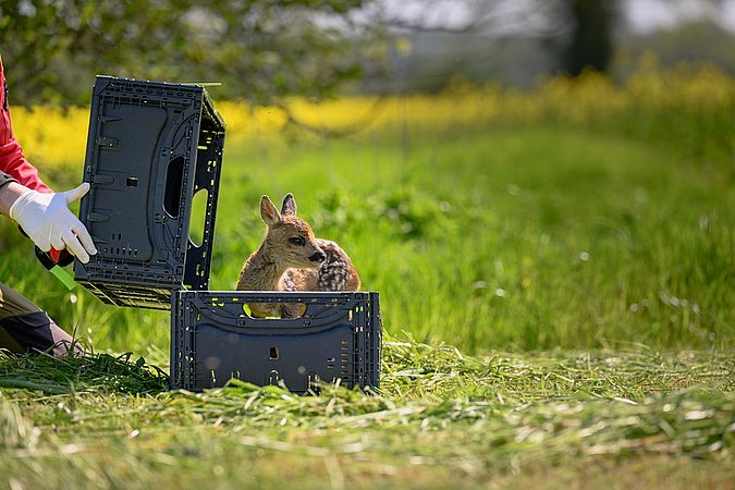 Umweltlotterie GENAU: Rehkitzrettung mit der Drohne