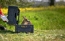 Umweltlotterie GENAU: Rehkitzrettung mit der Drohne