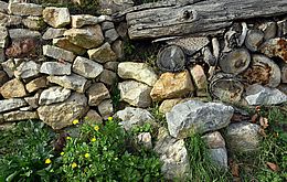 Umweltlotterie: Eine Reptilienburg für Schlangen, Eidechsen, Wildbienen, Spinnen, Wiesel, Spitzmäuse und Molche Umweltlotterie: Eine Reptilienburg für Schlangen, Eidechsen, Wildbienen, Spinnen, Wiesel, Spitzmäuse und Molche