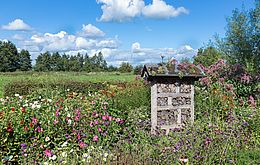 Umweltlotterie: Schmetterlinge, Vögel, Bienchen und jede Menge Blümchen