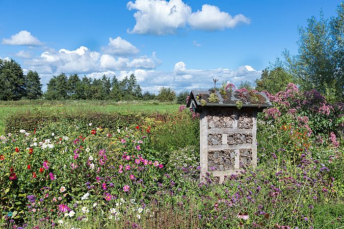 Umweltlotterie: Schmetterlinge, Vögel, Bienchen und jede Menge Blümchen