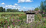 Umweltlotterie: Schmetterlinge, Vögel, Bienchen und jede Menge Blümchen