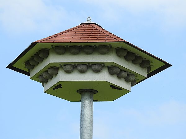 Umweltlotterie Schwalbenhaus Niederdorfelden