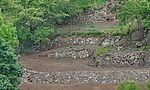 Umweltlotterie GENAU: Lebendige Trockenmauer im Meerbachtal