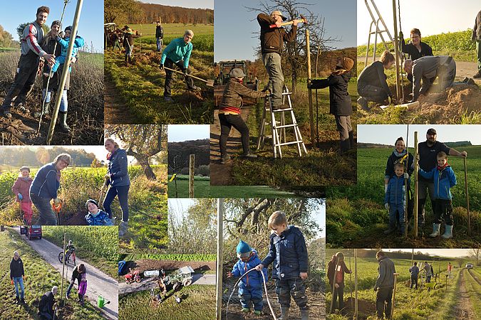 Umweltlotterie: Nachpflanzung von Obstbäumen in bestehenden Obstbaum Alleen an Feldwegen