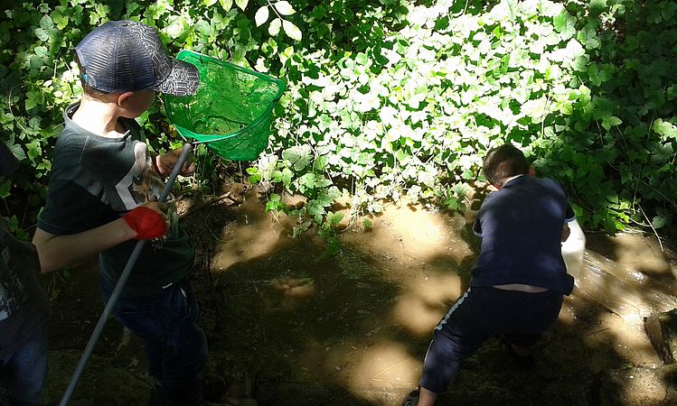 Umweltlotterie: Wilde Wald- und Wiesenzeit in Bad Nauheim