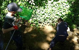Umweltlotterie: Wilde Wald und Wiesenzeit