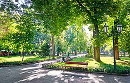 Umweltlotterie: Gemeinschaftsgarten Westend