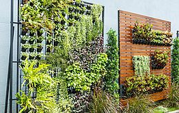 Umweltlotterie: Stadtnatur auf Terrasse und Balkon inklusiv fördern