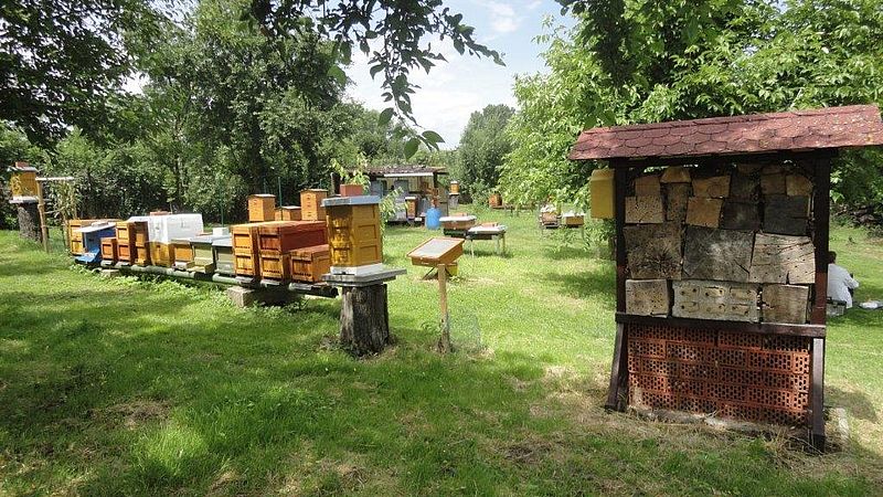 Umweltlotterie: Lehrbienenstand Bensheim
