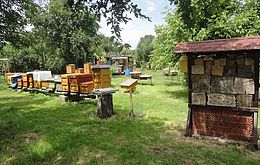 Umweltlotterie: Lehrbienenstand Bensheim
