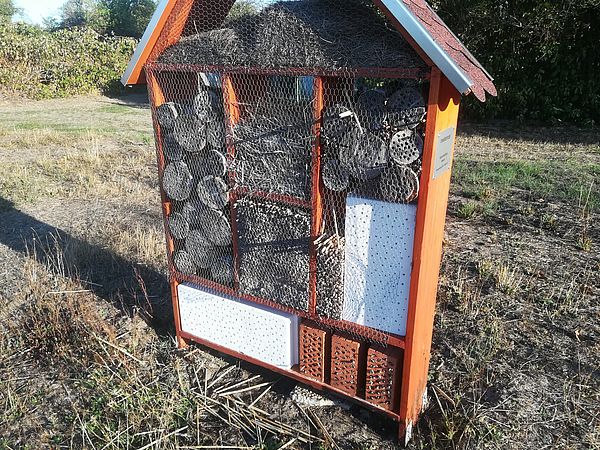 Umweltlotterie: Aufstellung von Insektenhotels an Schulen und Kindergärten