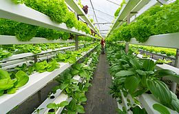 Umweltlotterie: RIFFGARTEN:Klimawandel begreifen, Lösungen erarbeiten, Nachhaltigkeitsstandards umsetzen, Mut machen Umweltlotterie: RIFFGARTEN:Klimawandel begreifen, Lösungen erarbeiten, Nachhaltigkeitsstandards umsetzen, Mut machen