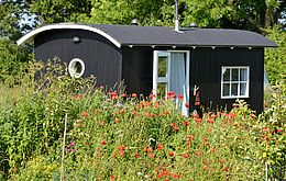 Bauwagen für den Naturkindergarten der Zukunftsschmiede e.V.